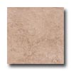 Tesoro Tesoro Travertino Fiorito 13 X 13 Beige Tile  &  Stone