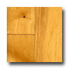 Capella Capella Standard Series 3 / 4 X 3-1 / 4 Natural Pecan Hardwood Floor
