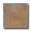 Interceramic Interceramic Cotto Andalusi 24 X 24 Almeria Gold Tile  &  Stone