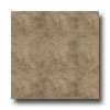 Armstrong Armstrong Dalles 20 X 20 Noche Tile  &  Stone