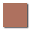 American Olean American Olean Terra Paver Unpolished 8 X 8 Clay Tile  &  Stone