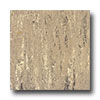 Armstrong Armstrong Linodur Putty Vinyl Flooring