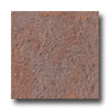 Ergon Tile Ergon Tile Porfirites 12 X 12 Rosso Albiano Tile  &  Stone