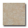 Earth Werks Earth Werks Aspen Aa804 Vinyl Flooring