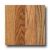 Hartco Hartco Oneida Plank 3 1 / 4 Harvest Oak Hardwood Flooring