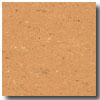 Armstrong Armstrong Colorette Caramel Vinyl Flooring