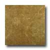 Tilecrest Tilecrest Kyle 20 X 20 Walnut Tile  &  Stone