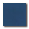 Daltile Daltile Designer Colours 8 X 8 Midnight Blue Tile  &  Stone