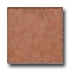 Cerdomus Cerdomus Durango 6 X 6 Ambra Tile  &  Stone