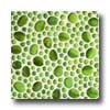 Tilecrest Tilecrest Cobblestone Series Mosaic Green Tile  &  Stone
