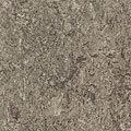 Forbo Forbo Marmoleum Real 1 / 8 Serene Grey Vinyl Flooring