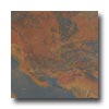 Cerim Ceramiche Cerim Ceramiche Stone Age 20 X 20 Multicolor Tile  &  Stone