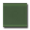Daltile Daltile Glass Reflections 4 X 4 Leafy Green Tile  &  Stone