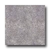 Armstrong Armstrong Perspectives Sheet Ash Gray Vinyl Flooring