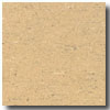 Armstrong Armstrong Colorette Dark Beige Vinyl Flooring