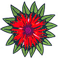 American Cottage Rugs American Cottage Rugs Shaped Bee Balm Area Rugs