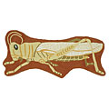 American Cottage Rugs American Cottage Rugs Children 2 X 3 Grasshopper Area Rugs