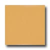 Daltile Daltile Keystones Permabrites Mosaic 3 X 3 6431 Gloss Mustard Ti