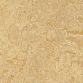 Forbo Forbo Marmoleum Real 1 / 8 Caribbean Vinyl Flooring