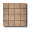 American Olean American Olean Quarry Naturals 6 X 6 Prairie Flash Tile  &  Stone