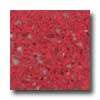 Santa Regina Santa Regina Accent 24 X 24 (antique) Poinsettia Terrazzo Tile
