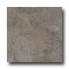Nafco Nafco Permastone Modular Bombay Raisin Vinyl Flooring