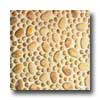 Tilecrest Tilecrest Cobblestone Series Mosaic Tan Tile  &  Stone