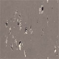 Forbo Forbo Marmoleum Graphic Scenario Vinyl Flooring