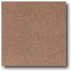 Daltile Daltile Vitrestone Select 8 X 8 Cotto Tile  &  Stone
