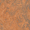 Forbo Forbo Marmoleum Dual Apricot Vinyl Flooring