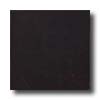 Armstrong Armstrong Slate 16 X 16 Black Tile  &  Stone