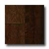 Scandian Wood Floors Scandian Wood Floors Bonita Gold 5 Timborana Cafe Hardwood Floor