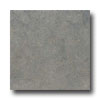 Ergon Tile Ergon Tile Lagos 24 X 24 Rectified Grigio Alfama Tile  &  Stone