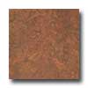 Forbo Forbo Marmoleum Click Square Rembrandt Palette Vinyl Flooring