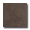 Crossville Crossville Buenos Aires Mood 6 X 6 Unpolished Recoleta Tile  &  St