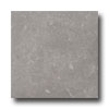 Ergon Tile Ergon Tile Liegi 12 X 12 Rectified Grigio Tile  &  Stone