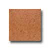 Interceramic Interceramic Colortrends 16 X 16 Rust Tile  &  Stone