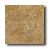 Ricchetti Ricchetti Palazzi 18 X 18 Foscari Tile  &  Stone