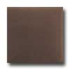 Tilecrest Tilecrest Bellisima 6 X 6 Chestnut Tile  &  Stone