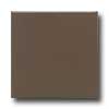 Daltile Daltile Modern Dimensions 4 1 / 4 X 12 3 / 4 Artisan Brown Tile  &  St
