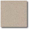Daltile Daltile Porcealto (unpolished) 6 X 6 Pepe Grigio Tile  &  Stone