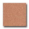 Armstrong Armstrong Medintech Tandem Inlaid Melon Vinyl Flooring