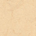 Forbo Forbo Marmoleum Fresco Barbados Vinyl Flooring