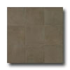 Casa Dolce Casa Casa Dolce Casa Clays 8 X 16 Metropolitan Tile  &  Stone