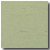Armstrong Armstrong Colorette Light Green Vinyl Flooring