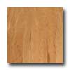 Harris-Tarkett Harris-tarkett Amherst Beveled 5 American Cherry Natural Hardwoo