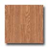 Metroflor Metroflor Tru-woods Collection - Barnside Antique Natural Oak Vi