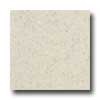 Daltile Daltile Granati Unpolished 12 X 12 Bianco Imperiale Tile  &  Stone