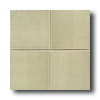 American Olean American Olean Cache 3 X 6 Matte Moss Tile  &  Stone