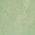 Forbo Forbo Marmoleum Dual Cool Green Vinyl Flooring